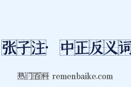 张子注·中正反义词是什么意思的图片